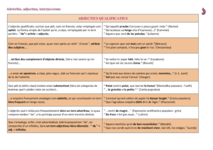 La lenga occitana en 100 tablèus